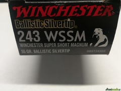243 Winchester Super Short Magnum 55 Gr Balistic Silvertip
