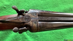Beretta VITTORIA 12 CANI ESTERNI