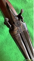 Beretta VITTORIA 12 CANI ESTERNI
