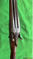Beretta VITTORIA 12 CANI ESTERNI