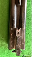 Beretta VITTORIA 12 CANI ESTERNI