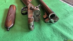 Beretta VITTORIA 12 CANI ESTERNI