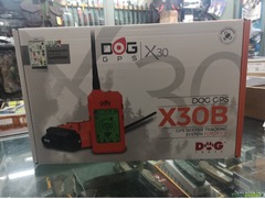 KIT COLLARE E PALMARE DOG GPS X 30 B COLLARE CON BERPER