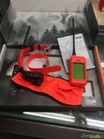 KIT COLLARE E PALMARE DOG GPS X 30 B COLLARE CON BERPER