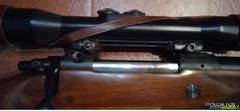 CZ | Ceska Zbrojovka zkk 602 .458 Winchester Magnum