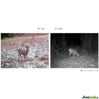 HIKMICRO M15 4g fototrappola