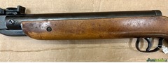 Diana 25 4.5/.177