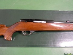 Beretta weaterby .22 Long Rifle