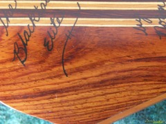 Black Tile Elite Custom