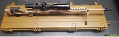 Accuracy Axmc .338 Lapua Magnum