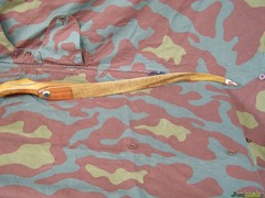 Ron Fox TD Custom