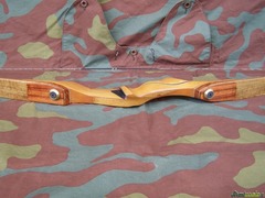 Ron Fox TD Custom