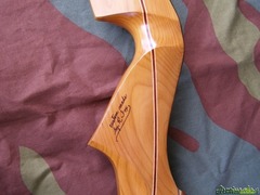 Ron Fox TD Custom