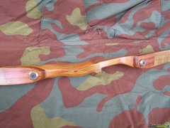 Ron Fox TD Custom