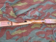 Ron Fox TD Custom
