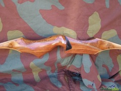 Ron Fox custom