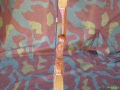 Ron Fox custom