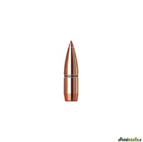 HORNADY Palle SST 308