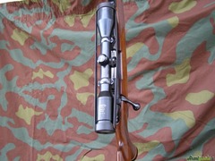 Weatherby Sauer 8x68s
