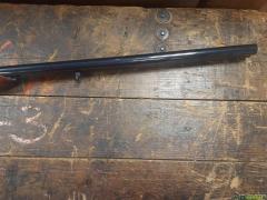 Gamba F.lli Armi Hunter 20