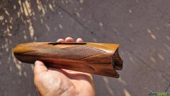 ASTINA  PERAZZI  CAL.20