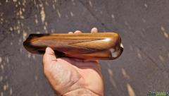 ASTINA  PERAZZI  CAL.20