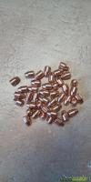 Palle ramate 9 124grs TCCP 355
