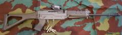 SIG Swiss Arms 553 .223 Remington