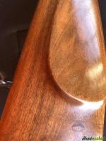 Anschutz  66 .22 Long Rifle magnum