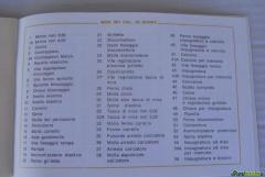LIBRETTO IGI DOMINO 0.P. 601 CAL. 22 SHORT