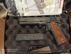 CHIAPPA 1911 cal. 22 LR