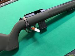 Diana R22 22lr