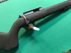 Diana R22 22lr