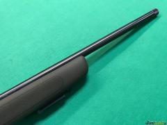 Diana R22 22lr