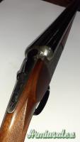 Renato Gamba S. Hunter 80