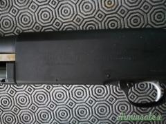 Beretta R.S. 200 P