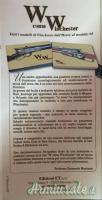 “ W “ come Winchester, la storia