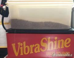 Pulitore bossoli vibra shine brass polisher