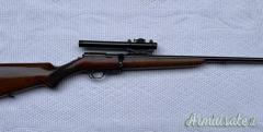 Walther Cal 22 lr