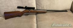 Anschutz Cal 22 lr