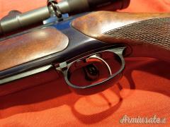 Sauer 202 cal. 25-06