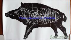 Target sagome bersaglio cinghiale n. 6
