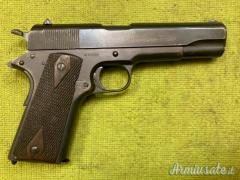 Colt 1911, 1919, Sportiva, .45 ACP