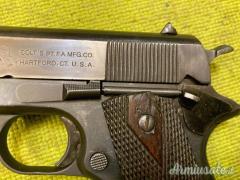 Colt 1911, 1919, Sportiva, .45 ACP