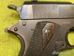 Colt 1911, 1919, Sportiva, .45 ACP