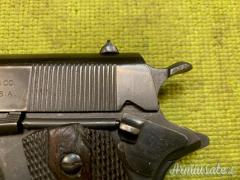 Colt 1911, 1919, Sportiva, .45 ACP