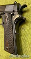 Colt 1911, 1919, Sportiva, .45 ACP
