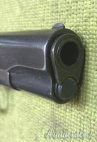 Colt 1911, 1919, Sportiva, .45 ACP