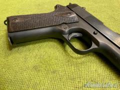 Colt 1911, 1919, Sportiva, .45 ACP