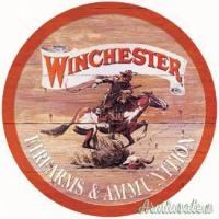 TARGA metallica WINCHESTER